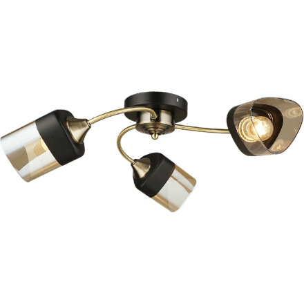 Потолочная люстра Reluce 04153-0.3-03