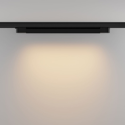 Трековый трехфазный светильник Maytoni Basis TR196-3-20W2.7K-B