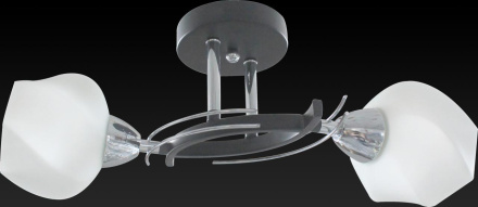 Потолочный светильник Toplight Lia TL7380X-02BC