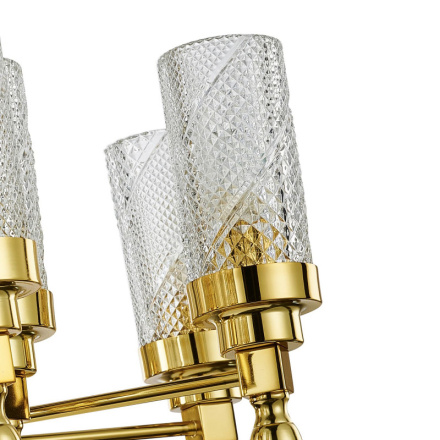 Подвесная люстра Favourite ANIMA 2812-12P