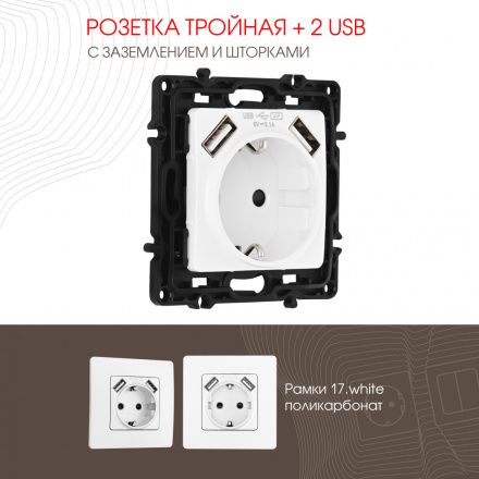 Розетка с заземлением, шторками + 2 USB Arte Milano 217.47-1.white