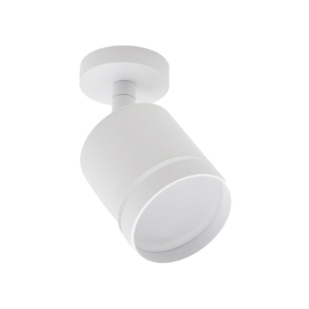 Светодиодный спот 20009 20009SMA/02LED SWH