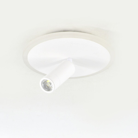 Настенно-потолочный светильник Escada 20046SMA/01LED WH