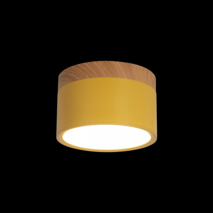 Накладной светильник Loft IT Grape 10162 Yellow