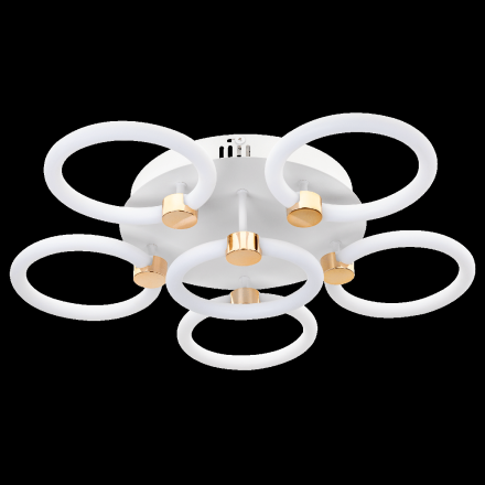 Потолочная люстра Ritter Anello 51639 6