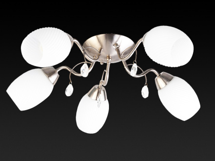 Потолочная люстра Toplight Paula TL3550X-05SN