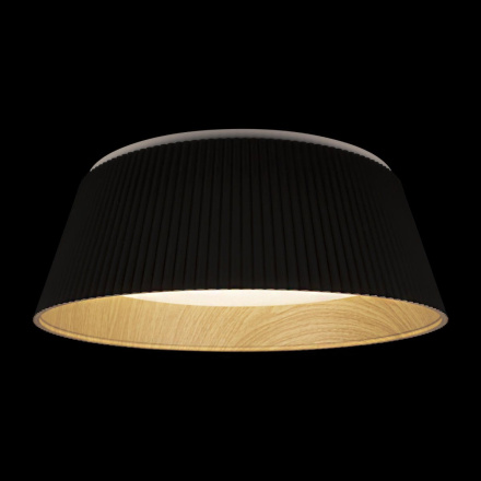 Потолочный светильник Loft IT Evans 10224 Black