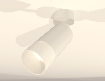 Спот Ambrella Light Techno Spot XM6322012 (A2202, C6322, N6252)