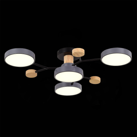 Люстра на штанге Evoluce Faema SLE6006-702-04