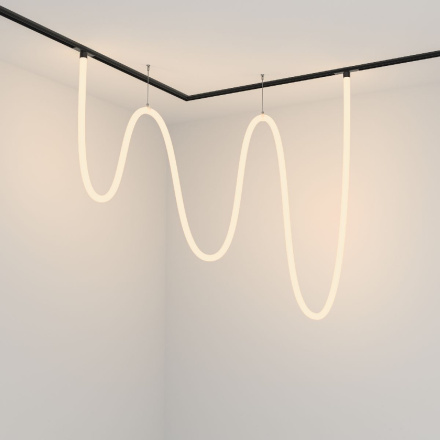 Трековый подвесной светильник Maytoni Tau TR101-2-100W3K-B