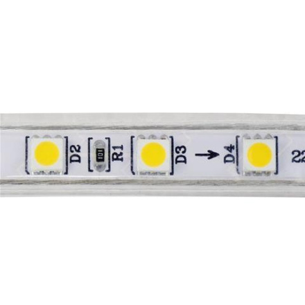 Светодиодная влагозащищенная лента Horoz 6W/m 60LED/m 5050SMD синий 50M 081-004-0001 (HL543L) HRZ00001188
