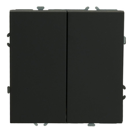 Выключатель 2-клавишный Stekker Эмили RSW10-5104-10ZK 50247