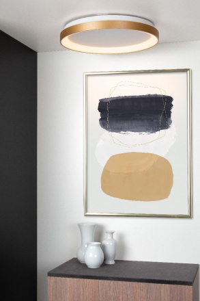 Потолочный светильник Lucide Vidal 46103/38/02