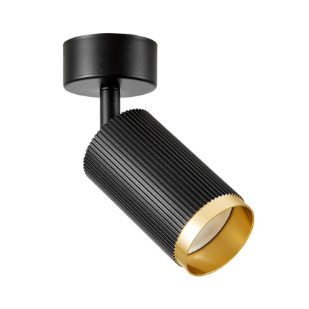 Спот Lampit Rin TS TK10-C1 BK+GD