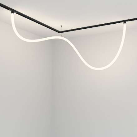 Трековый магнитный светильник Maytoni Tau TR101-2-50W4K-B