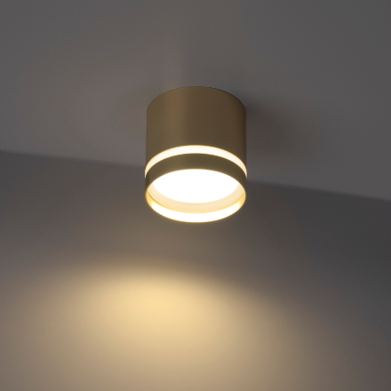 Накладной светильник Ritter Arton 59945 6