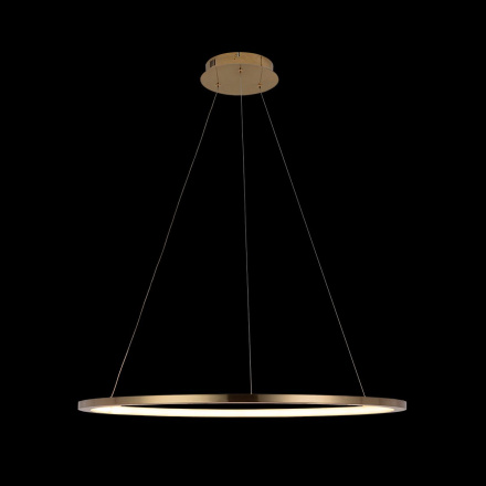 Подвесной светодиодный светильник Loft IT Ring 10014L