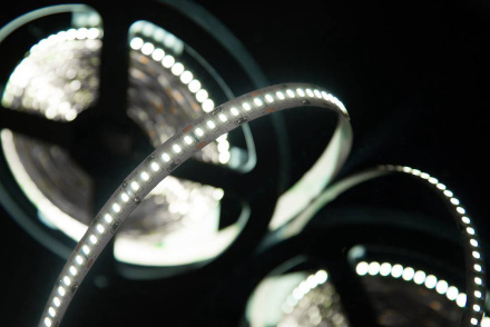 Светодиодная лента SWG SWG4240-12-24-W-M 009255