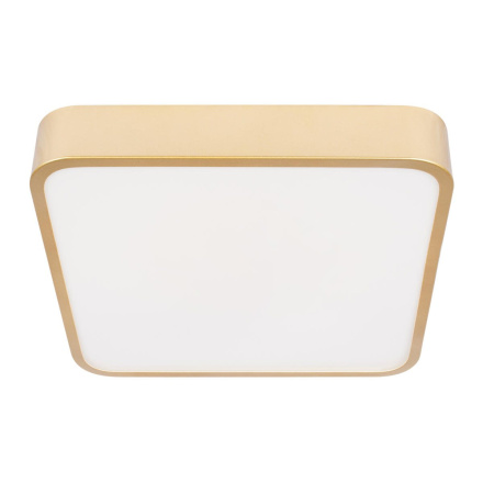 Потолочный светильник Loft IT Flims 10228/C