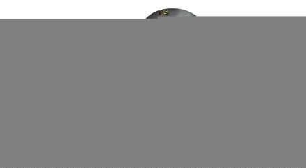 Спот Globo Cathy 5453-2