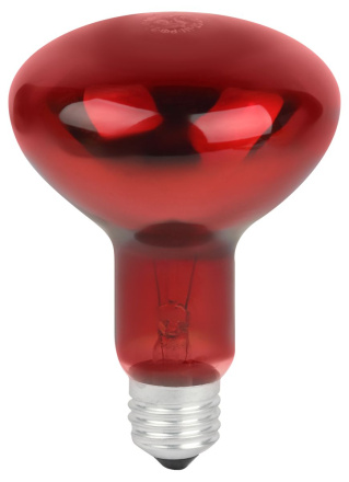 Инфракрасная лампа для обогрева животных и освещения Эра ИКЗК 230-100 R95 E27 Б0064638