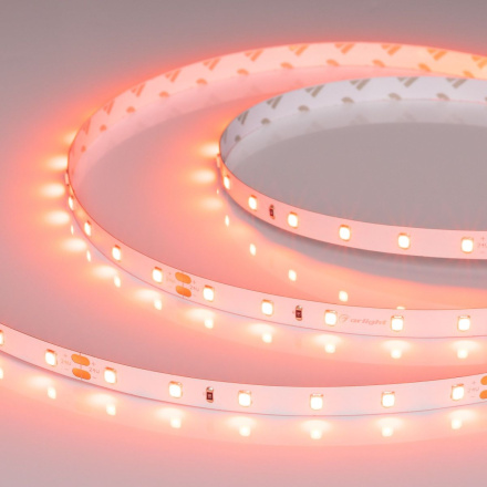 Светодиодная лента Arlight RT-A60-8mm 24V Carrot (4.8 W/m, IP20, 5m) 055375