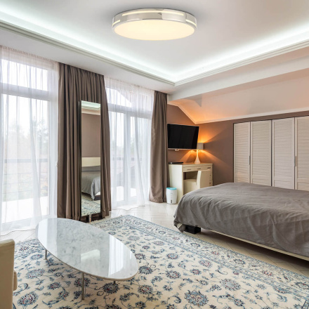 Потолочный светильник F-Promo Pall 2744-2C