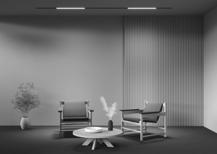 Трековый светильник Maytoni Technical Basis TR074-2-20W3K-B