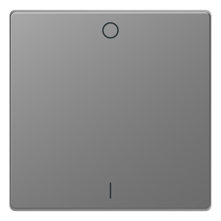 Клавиша одинарная Schneider Electric Merten D-Life MTN3301-6036