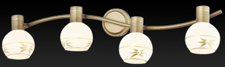 Спот Toplight Sharleen TL3790Y-04AB