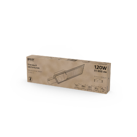 Уличный консольный светильник Gauss Avenue 629534220