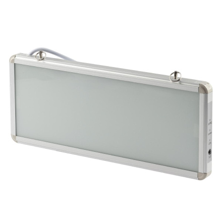 Аварийный светильник Эра SSA-101-0-20 Б0044387