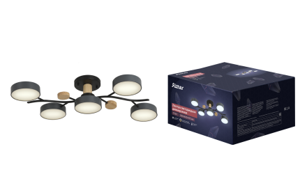 Потолочная люстра Ritter Scandia 52080 1