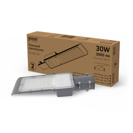 Уличный консольный светильник Gauss Avenue 629534130