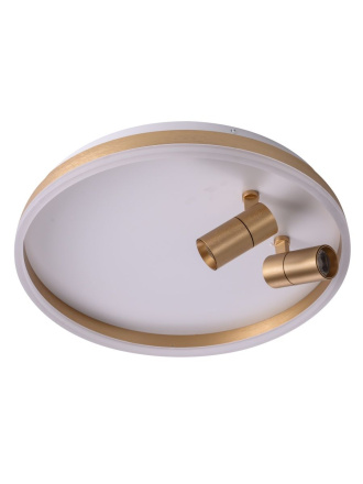 Потолочный светильник Zortes Raizy ZRS.1888.02