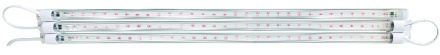 Светильник для растений Эра FITO-3х10W-LINE-RB90 Б0050924