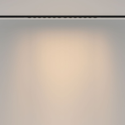 Трековый магнитный светильник Maytoni Spiky TR175-1-24WTW-M-B