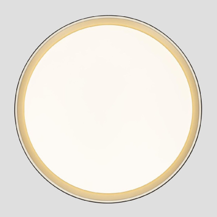 Потолочный светильник Citilux Boss CL751451G