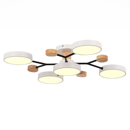 Люстра на штанге Evoluce Faema SLE6006-502-05