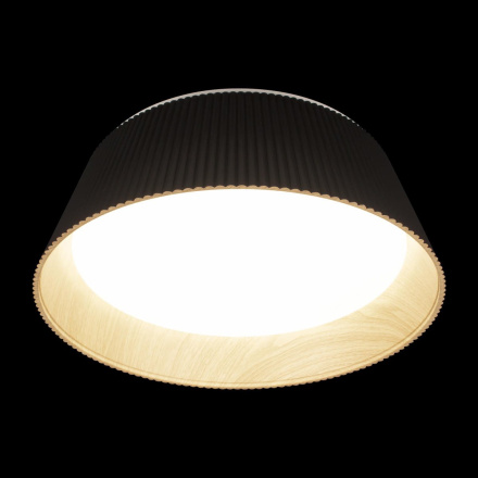 Потолочный светильник Loft IT Evans 10224 Black