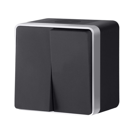 Выключатель двухклавишный влагозащищенный Werkel Gallant (черный с серебром) W5020234 4690389164279 a051156