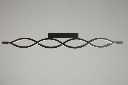 Настенно-потолочный светильник Aployt Nadayn APL.002.17.72