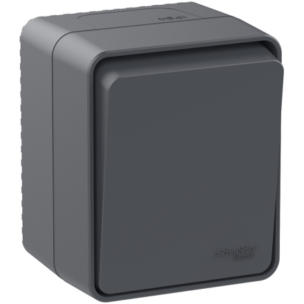 Переключатель 1-клавишный 10 АХ Systeme Electric AtlasDesign Profi54 Наруж Антрацит ATN544061