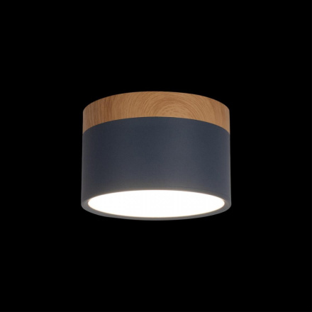 Накладной светильник Loft IT Grape 10162 Blue