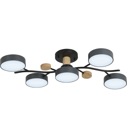 Потолочная люстра Ritter Scandia 52080 1