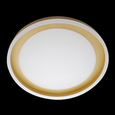 Потолочная люстра Natali Kovaltseva LED LAMPS 81301