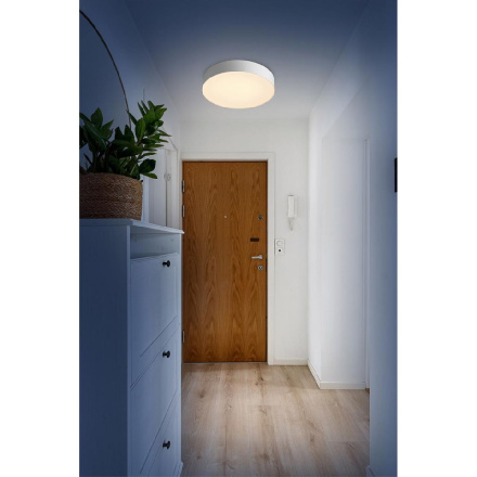 Настенно-потолочный светильник Sonex Basica Optima 7779/DL