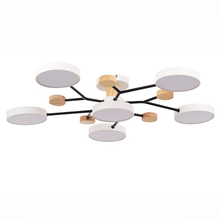 Люстра на штанге Evoluce Faema SLE6006-502-06