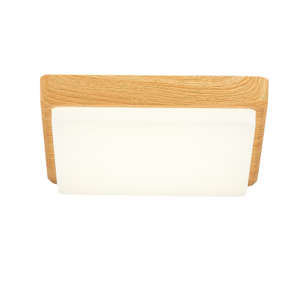 Потолочный светильник EVOLUCE TADDIO SLE200202-01