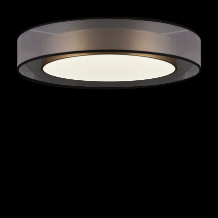 Потолочный светильник Freya Zoticus FR6005CL-L48G